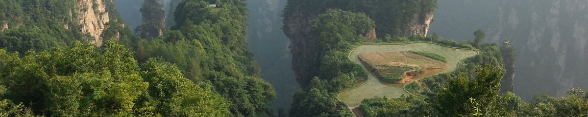 张家界山顶农田